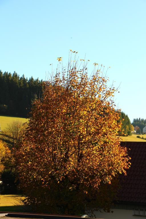 Gasthof Schwarzwaldtanne Schönwalde Exterior foto